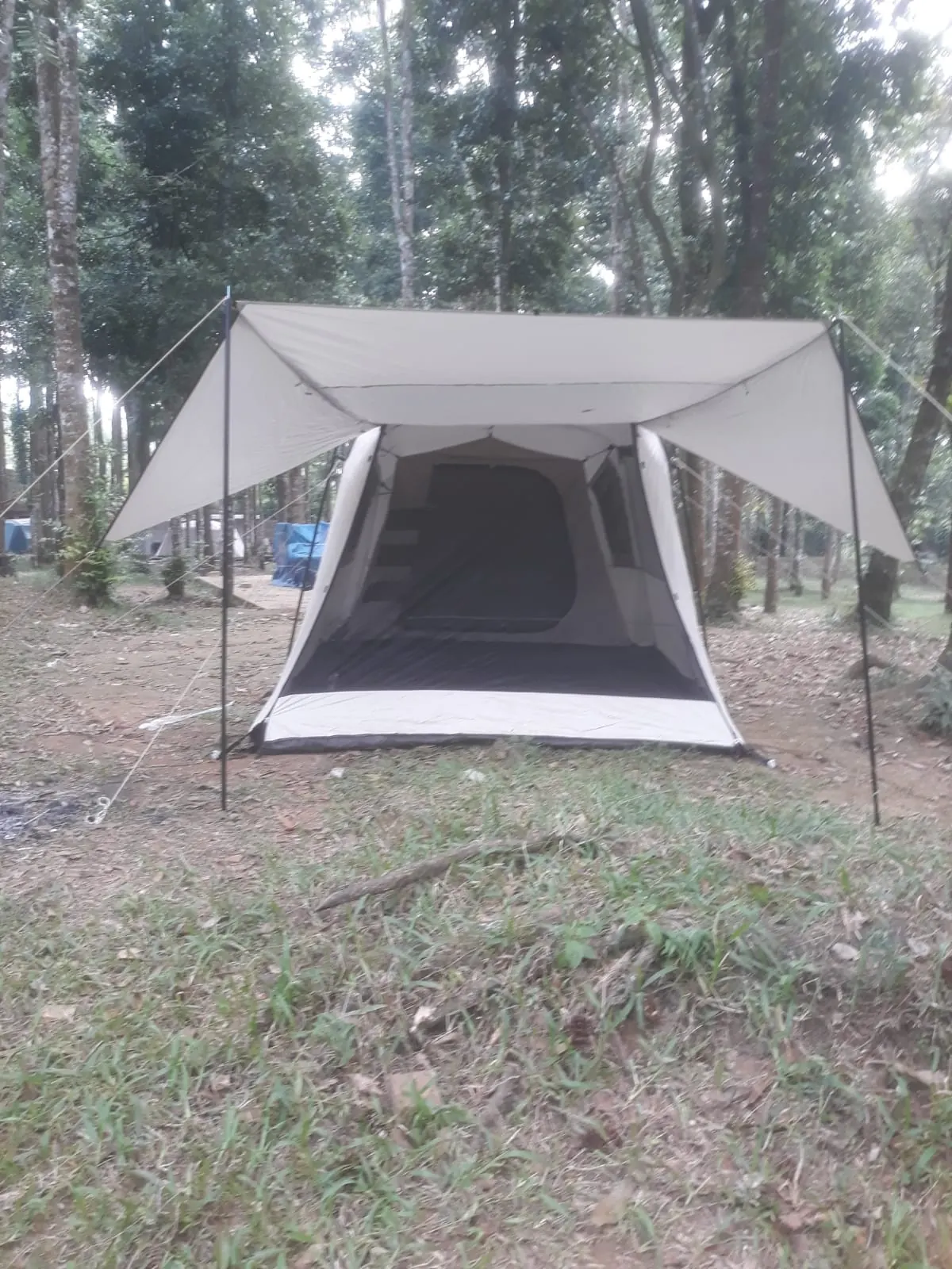 Tenda rental Youlien