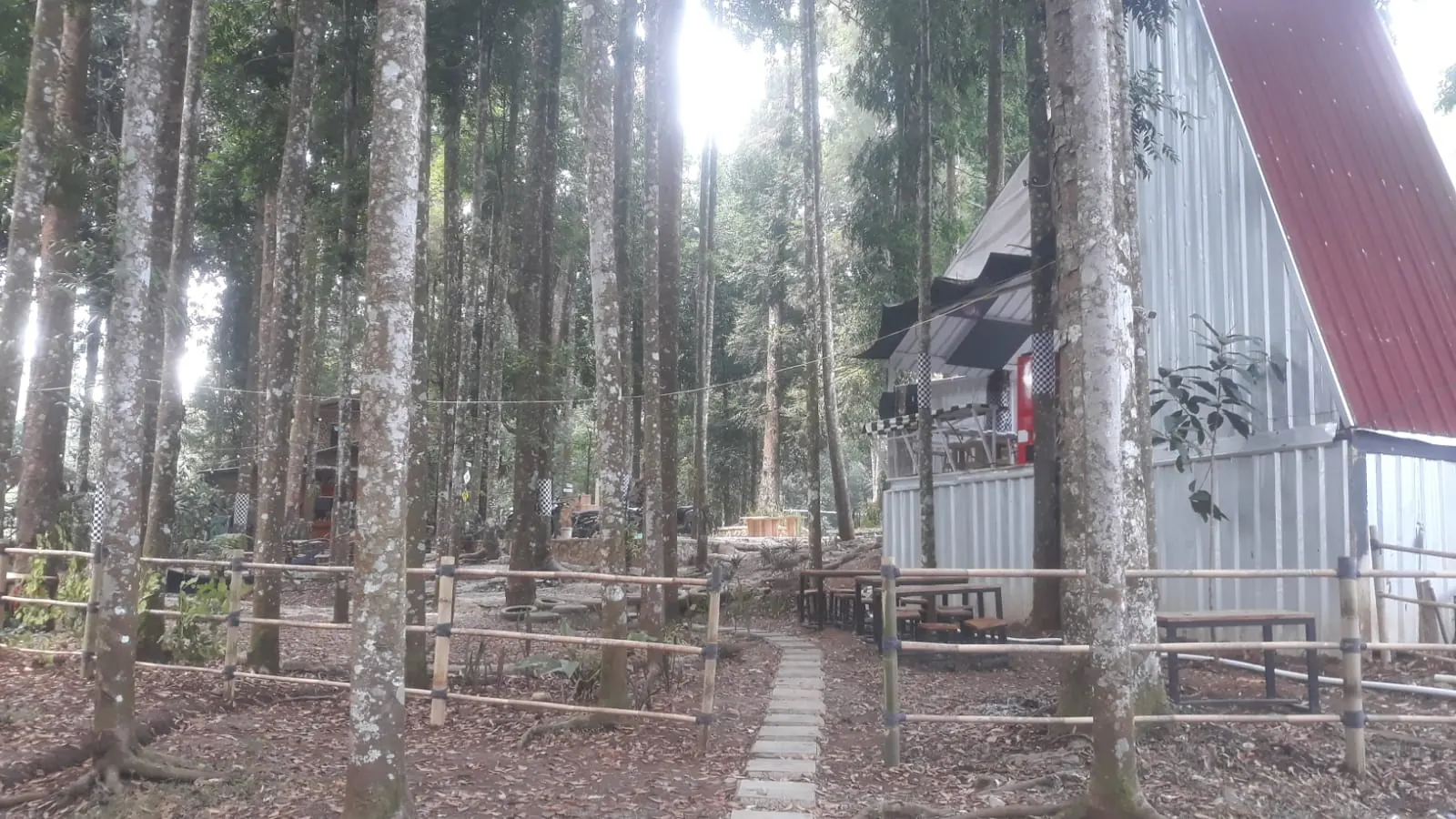 Jalur hutan